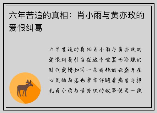六年苦追的真相：肖小雨与黄亦玫的爱恨纠葛