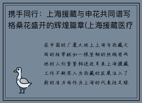 携手同行：上海援藏与申花共同谱写格桑花盛开的辉煌篇章(上海援藏医疗队)