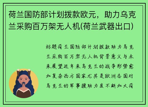 荷兰国防部计划拨款欧元，助力乌克兰采购百万架无人机(荷兰武器出口)