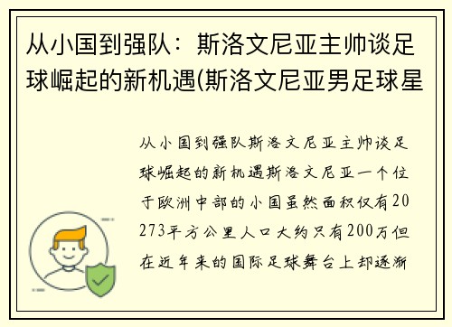 从小国到强队：斯洛文尼亚主帅谈足球崛起的新机遇(斯洛文尼亚男足球星)
